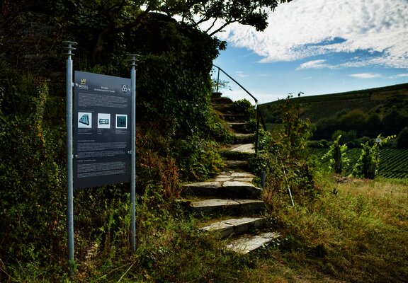 Aufstieg zum Moselpanorama in Minheim