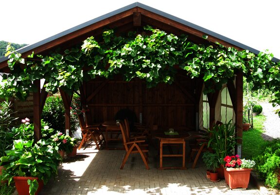 Weingut Hammes-Diedrich - Laube