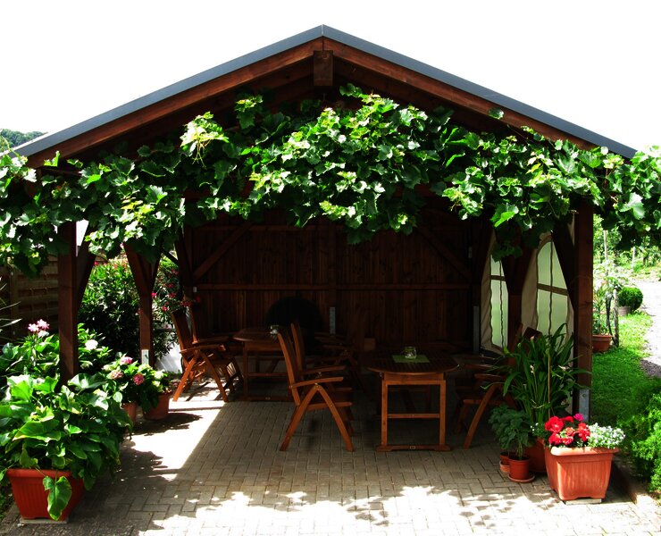 Weingut Hammes-Diedrich - Laube