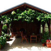 Weingut Hammes-Diedrich - Laube