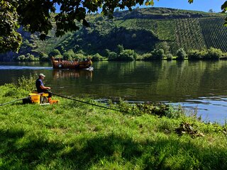 Angler am Moselufer in Neumagen-Dhron