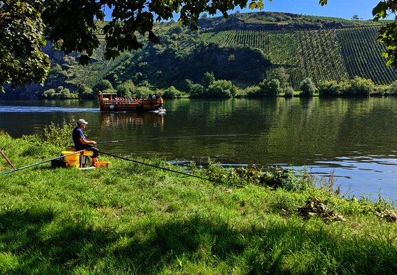 Angler am Moselufer in Neumagen-Dhron