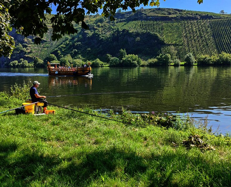 Angler am Moselufer in Neumagen-Dhron