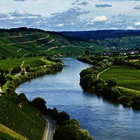 Moseltal bei Brauneberg