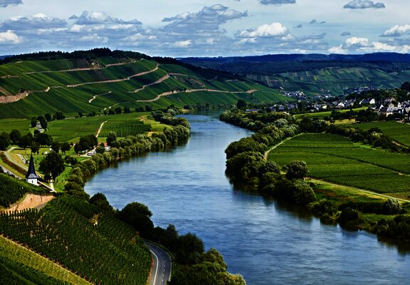 Moseltal bei Brauneberg