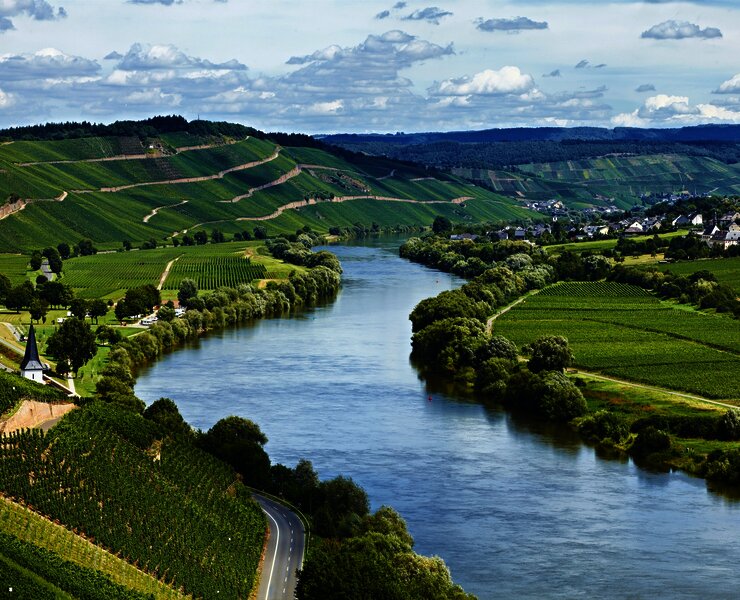 Moseltal bei Brauneberg