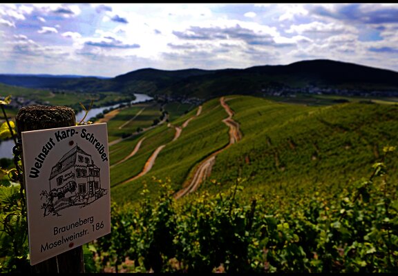 Weinberge in bester Mosellage