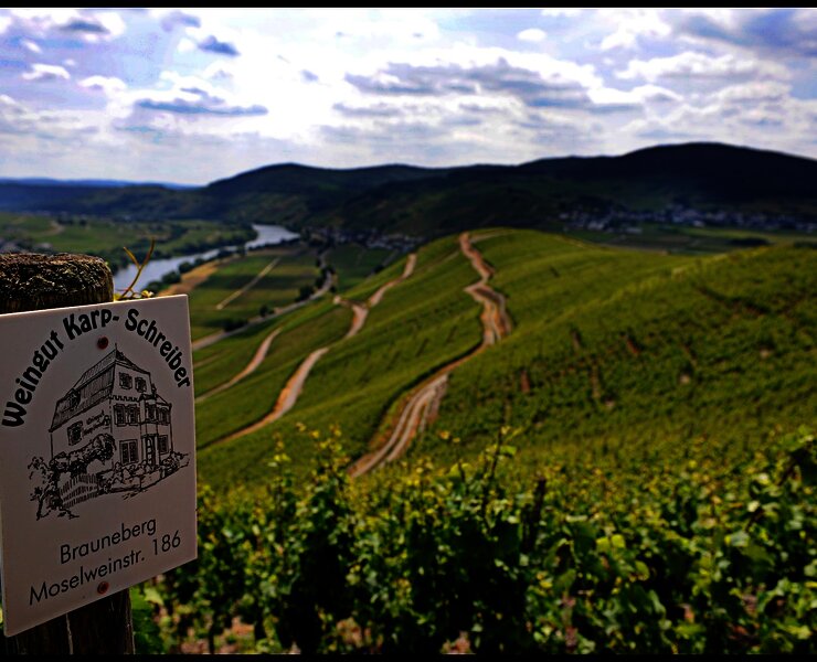 Weinberge in bester Mosellage