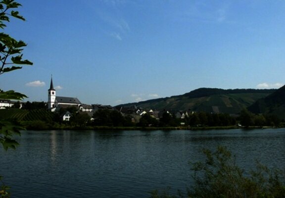 Minheim an der Mosel