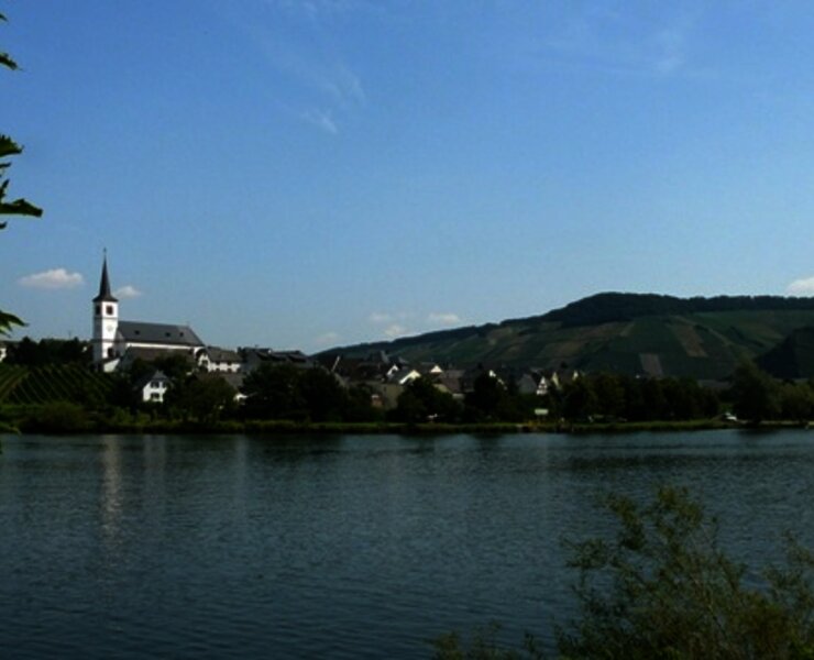 Minheim an der Mosel