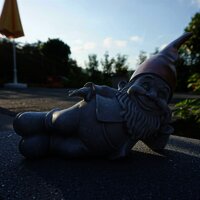 Die Seele baumeln lassen