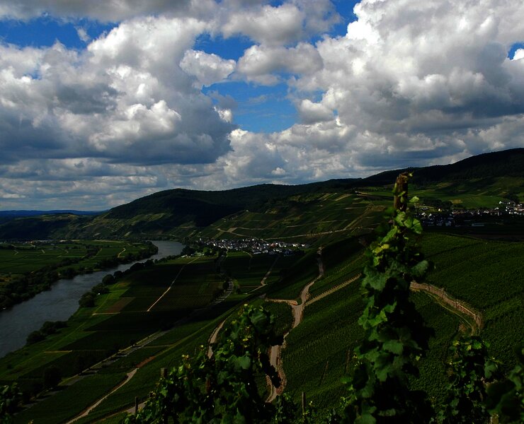 Moselblick_2