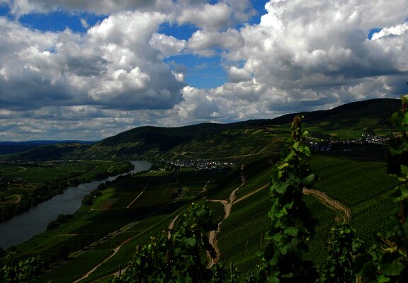 Moselblick_2