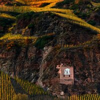 Ürziger Sonnenuhr ind en Weinbergen