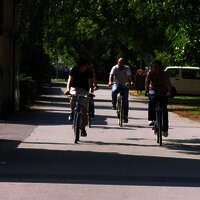 Wir liegen direkt am Moselradweg