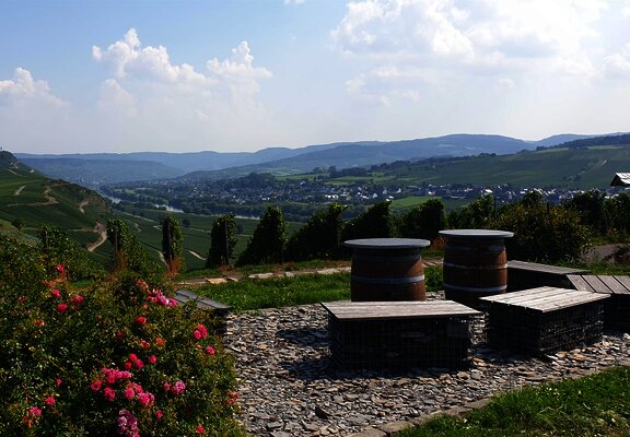 Ruheinsel bei Osann-Monzel