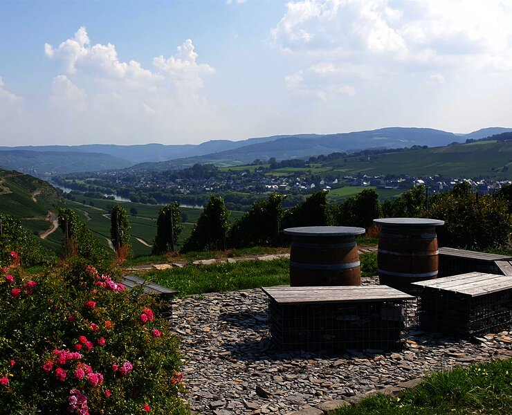 Ruheinsel bei Osann-Monzel