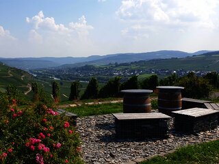 Ruheinsel bei Osann-Monzel