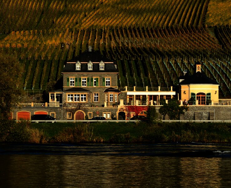 Weingut Dr. Loosen