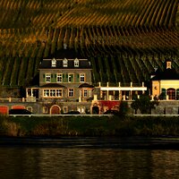 Weingut Dr. Loosen