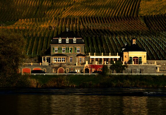 Weingut Dr. Loosen