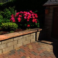 8645FE9A-02D5-4520-B92E-75DC953CED0B