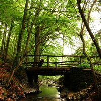 VeldenzerBachNäheRöpertsmühle