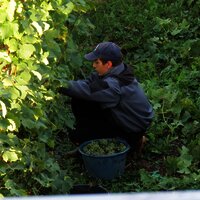 IMG_0359