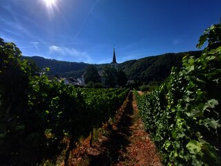 Pfarrkirche St. Johannes der Täufer