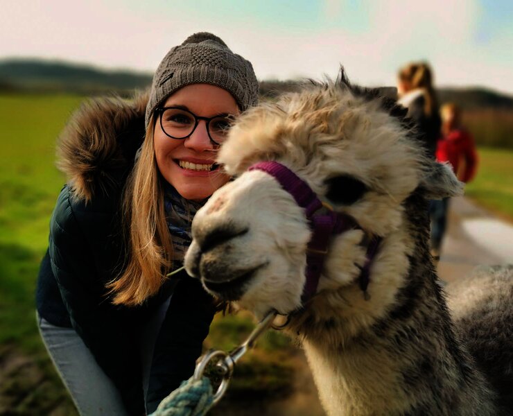 Alpaka Wanderung