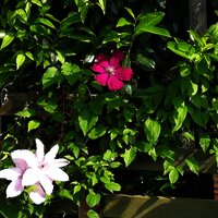 IMG_20180518_172700