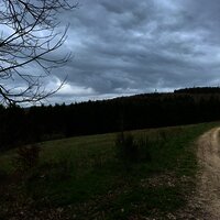 Wald- und Wiesenlandschaft