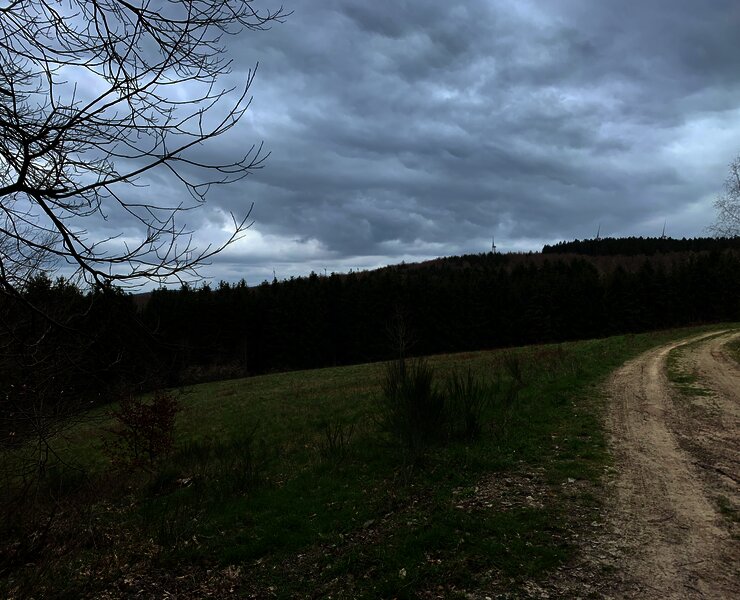 Wald- und Wiesenlandschaft