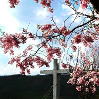 Grosser Herrgott Wintrich