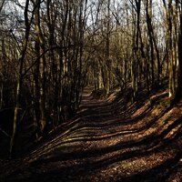 Wanderweg "Kirchspiel's Täler Tour"