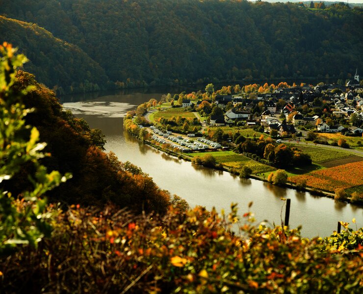Minheim an der Mosel