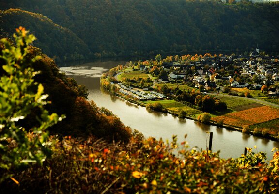 Minheim an der Mosel