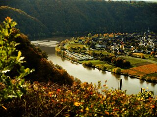 Minheim an der Mosel