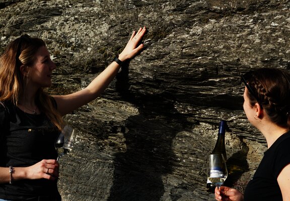 Felsen mit Wein