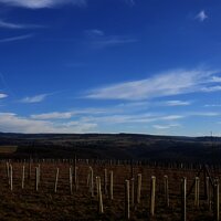 Blick in den Hunsrück