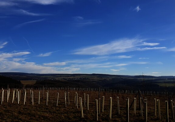 Blick in den Hunsrück