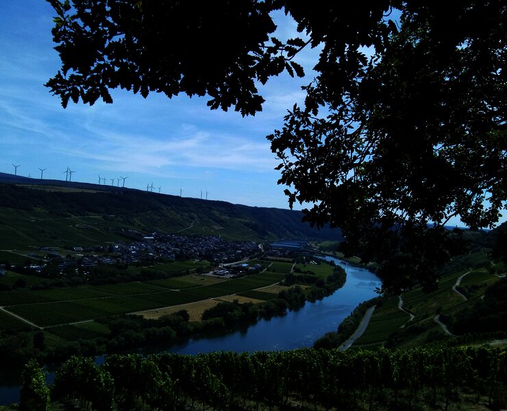 Aussicht auf Wintrich