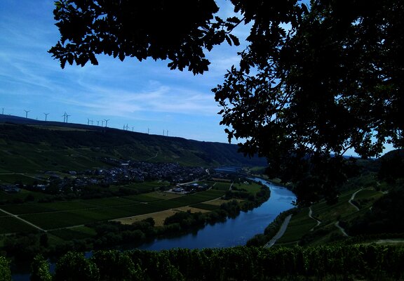 Aussicht auf Wintrich