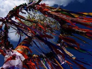 Maibaum