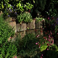 IMG_1995