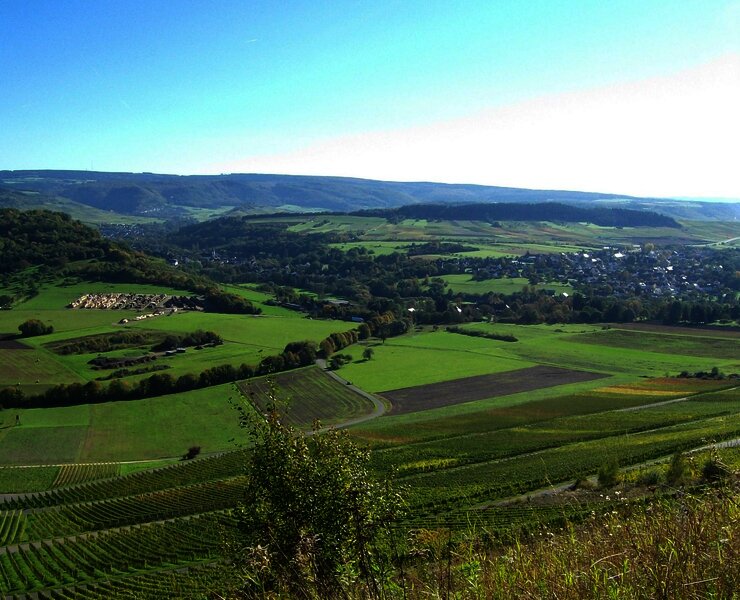 Weinberge und Wiesen von Lieser und Maring-Noviand