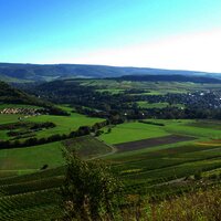 Weinberge und Wiesen von Lieser und Maring-Noviand