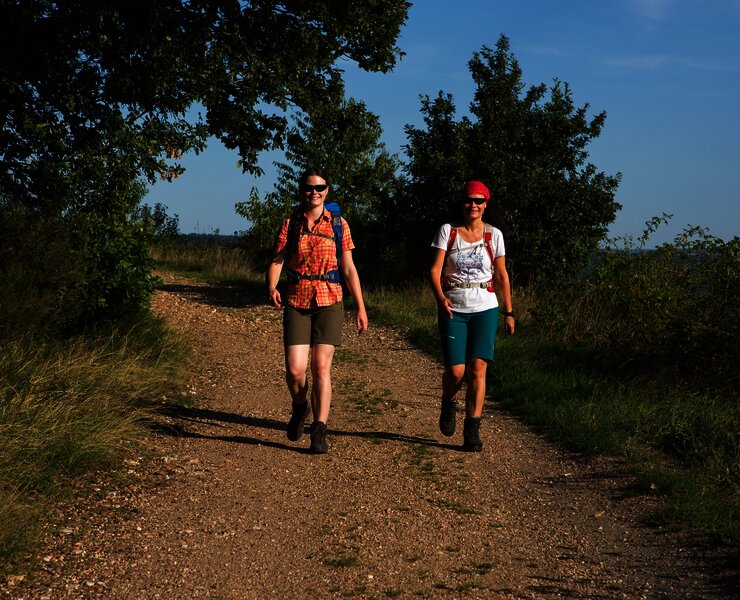 Wandern zwischen Weinbergen und Wäldern