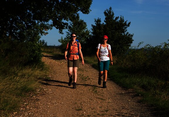 Wandern zwischen Weinbergen und Wäldern