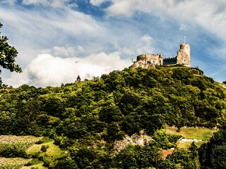 Burg Landshut